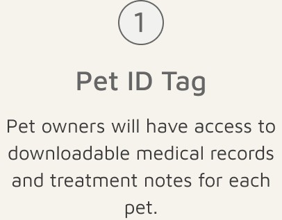Solution card 1: Pet ID Tag — pet owners will have access to downloadable medical records and treatment notes for each pet
